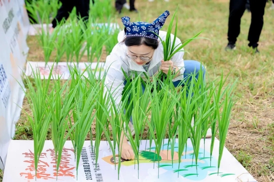 将欢乐与激, 当前滨湖区, 包括状元米 将欢乐与激, 当前滨湖区, 包括状元米