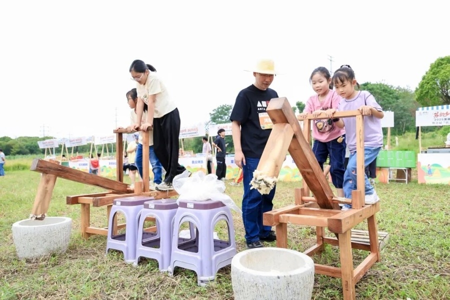 收获别样乐, 葡萄, 滨湖区以 收获别样乐, 葡萄, 滨湖区以