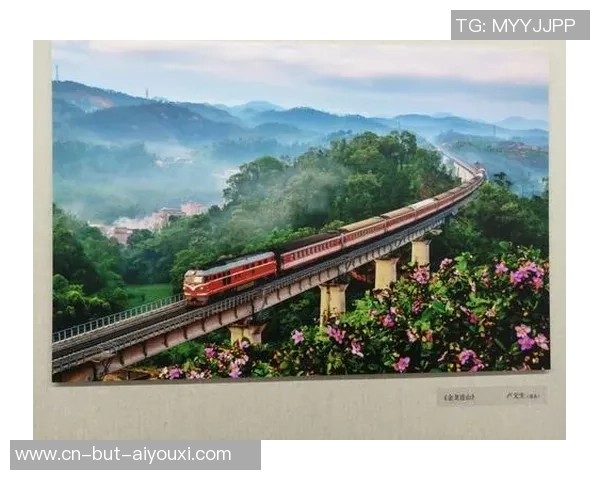 巴塔米戴拿模与舒库拉的精彩对决揭示了现代搏击的魅力与技术之美